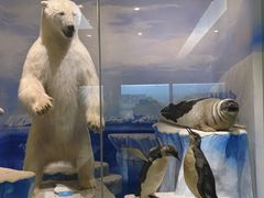 -国家自然博物馆