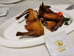 红烧乳鸽-光明招待所(邦凯科技园店)