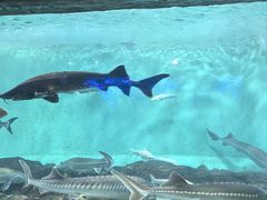 -太平洋海底世界