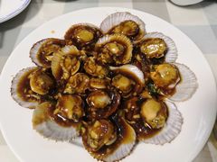 蚝油扇贝-华春餐馆(鱼山路店)