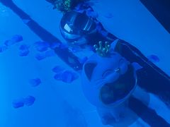 -INLOVE KTV(淮海路店)