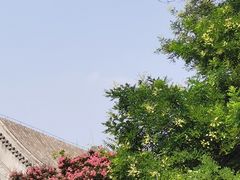 -北京国子监胡同