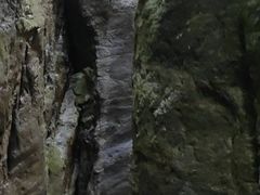 -牛背梁国家森林公园