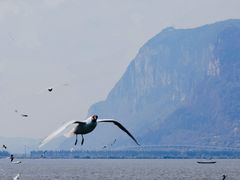 -海埂大坝
