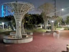-光明港公园