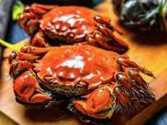 -蟹福家活蟹料理·豪华自助(绿洲假日酒店)