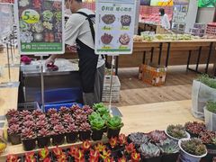 -雨露空间(青林湾店)