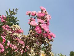 -尚贤河湿地