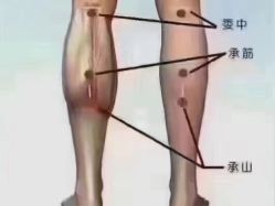 -香薇妮丝女子减肥院