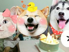 -味多美蛋糕(马家堡永辉店)