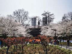 -堤角公园