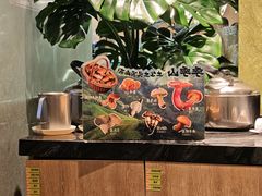 -季季山·云南野生菌火锅(上海首店)