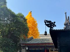 -西安市广仁寺