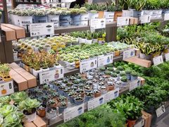 -鹿岛会员店(熙地港店)