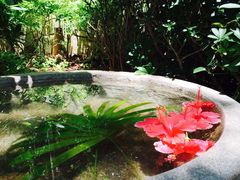 -三亚珠江南田温泉度假区