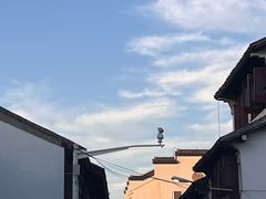 -七宝古镇