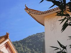 -深圳仙湖植物园