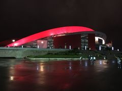 -南京奥林匹克体育中心-体育馆