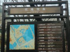 -西湖外事游船(花港观鱼码头)