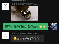 -爱妮康宠物医院·干细胞免疫细胞·肿瘤·心脏(张江店)