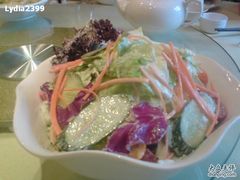 蔬菜沙拉-新南华大酒店(广中店)