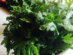 茼蒿-应时肥牛火锅居(联合路店)
