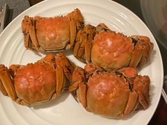 -君来湖滨饭店·玫瑰园
