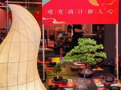 -羽鸽集·乳鸽专门店·地道顺德菜(岭南站店)