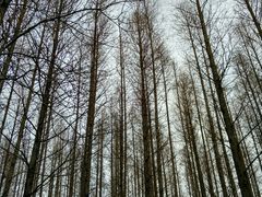 android_upload_pic-八大关景区