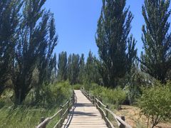 -黄沙古渡原生态旅游区