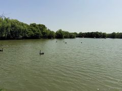 -长兴太湖图影湿地文化园