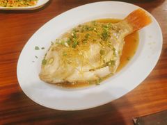 -绿光森林餐厅
