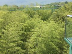 -陶祖圣境风景区