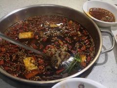 -味之绝美蛙鱼火锅(八号路店)