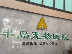 -半岛宠物医院24小时(科华中路店)