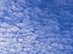 -上海中国航海博物馆