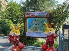 -西霞口神雕山野生动物世界