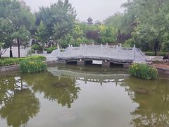 -迎泽公园