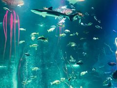 -沈阳海洋探索中心