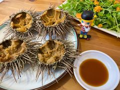 活海胆-海胆小馆(春柳店)