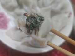 荠菜鲜肉饺-熊大爷现包饺子(和平里店)
