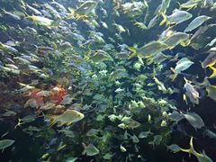 -成都浩海立方海洋公园