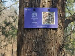 -北京鹫峰国家森林公园