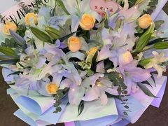 -花鸟鱼虫鲜花绿植市场(玉泉路店)