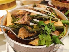 砂锅腐竹牛腩-凯鸽酒楼(大同振兴街店)