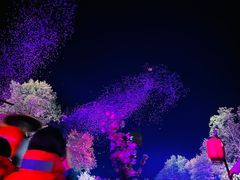 -常德桃花源景区