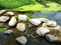 -白水寺森林公园
