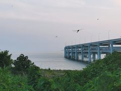 -星海湾跨海大桥