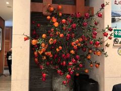 -诺筵汤品·菌汤火锅(南河坝店)