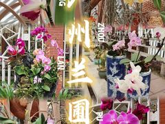 -广州兰圃